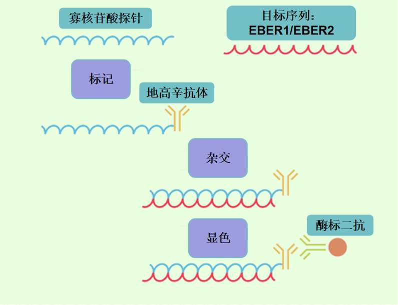 圖片8.png